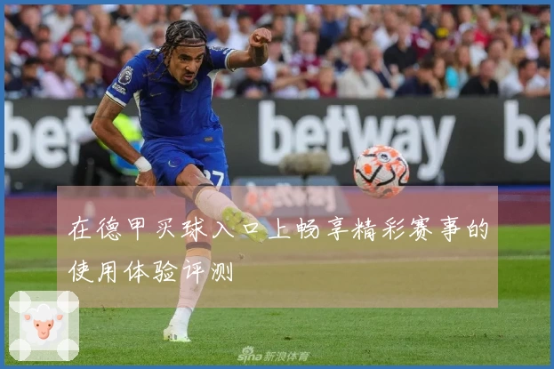 在德甲买球入口上畅享精彩赛事的使用体验评测