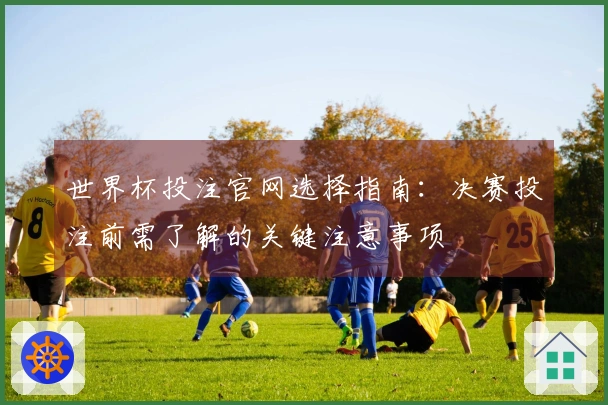 世界杯投注官网选择指南：决赛投注前需了解的关键注意事项