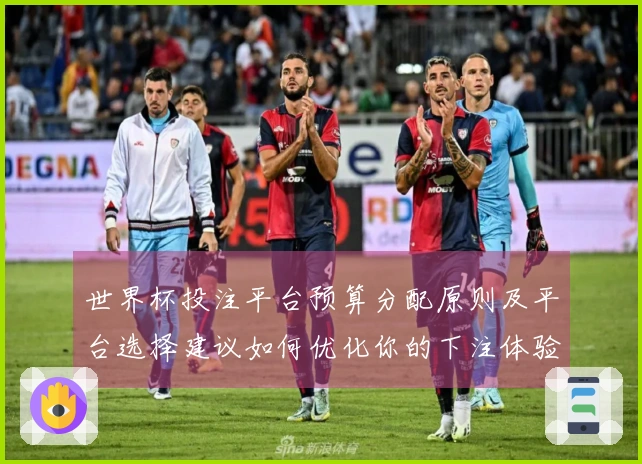 世界杯投注平台预算分配原则及平台选择建议如何优化你的下注体验