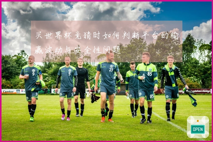 买世界杯竞猜时如何判断平台的输赢波动与安全性问题