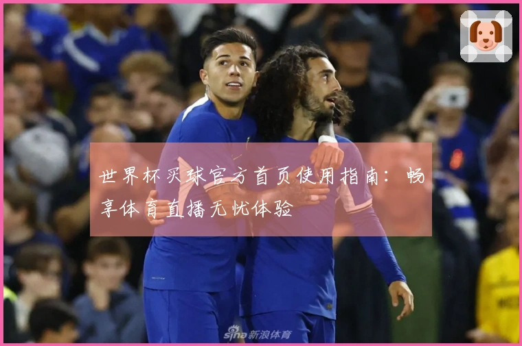 世界杯买球官方首页使用指南：畅享体育直播无忧体验