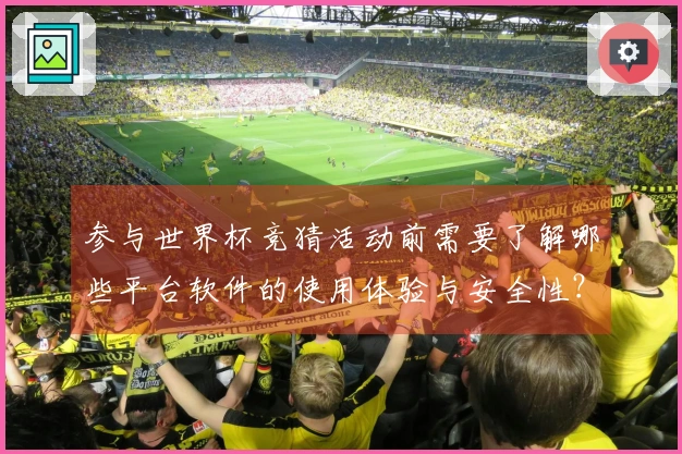 参与世界杯竞猜活动前需要了解哪些平台软件的使用体验与安全性？