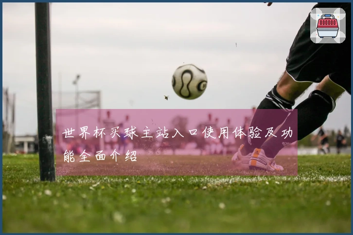 世界杯买球主站入口使用体验及功能全面介绍
