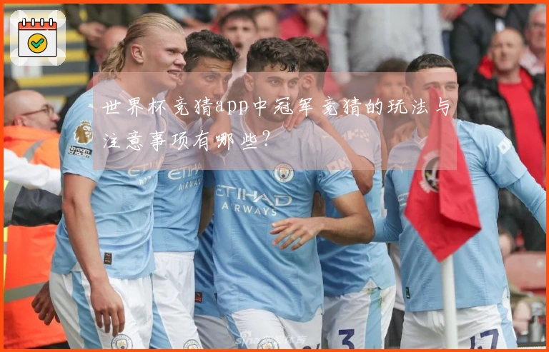 世界杯竞猜app中冠军竞猜的玩法与注意事项有哪些？
