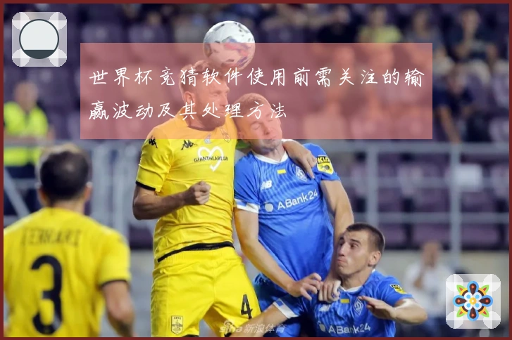 世界杯竞猜软件使用前需关注的输赢波动及其处理方法