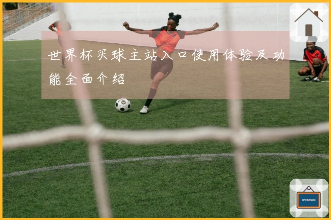 世界杯买球主站入口使用体验及功能全面介绍
