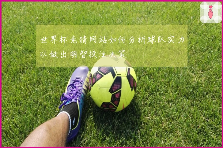 世界杯竞猜网站如何分析球队实力以做出明智投注决策