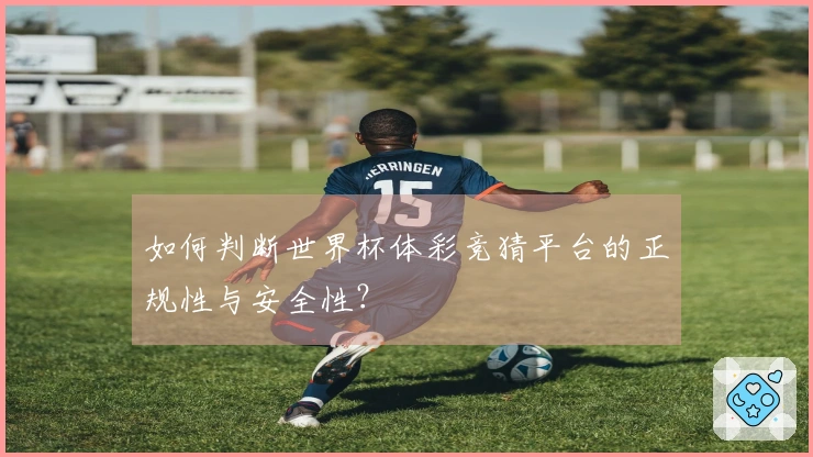 如何判断世界杯体彩竞猜平台的正规性与安全性？