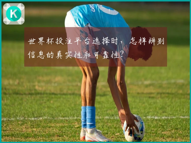 世界杯投注平台选择时，怎样辨别信息的真实性和可靠性？