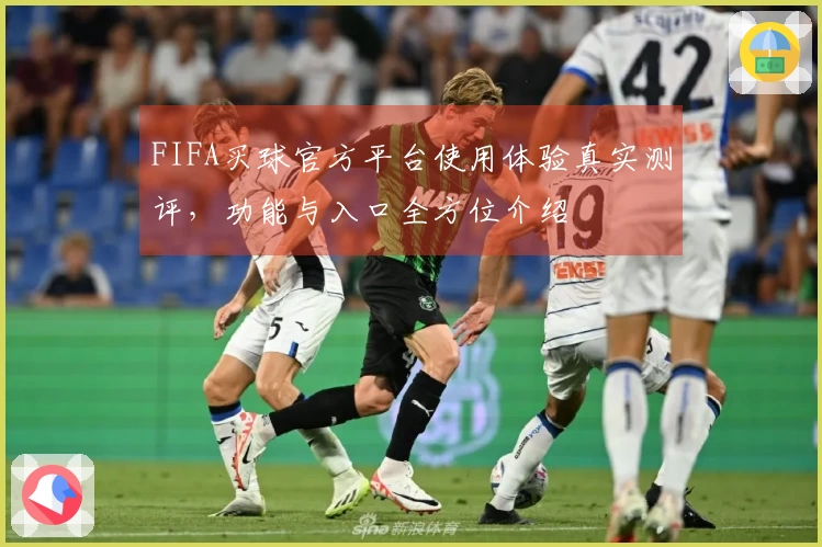 FIFA买球官方平台使用体验真实测评，功能与入口全方位介绍