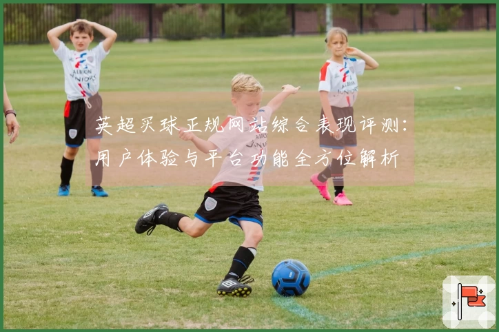 英超买球正规网站综合表现评测：用户体验与平台功能全方位解析
