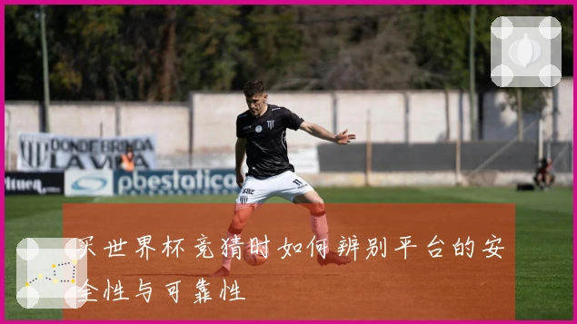 买世界杯竞猜时如何辨别平台的安全性与可靠性
