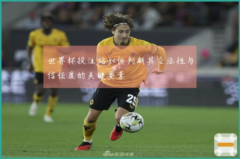 世界杯投注站如何判断其合法性与信任度的关键要素