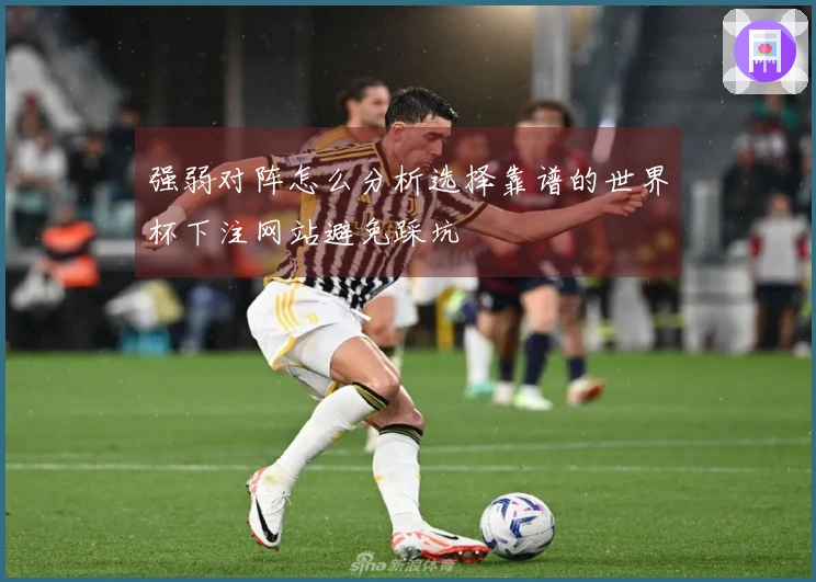强弱对阵怎么分析选择靠谱的世界杯下注网站避免踩坑