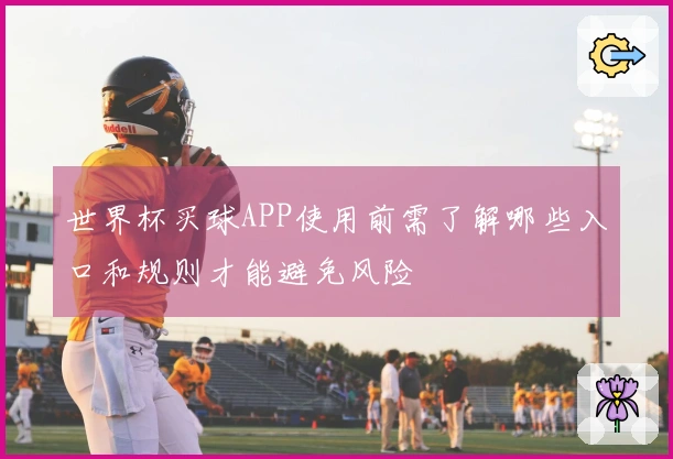世界杯买球APP使用前需了解哪些入口和规则才能避免风险