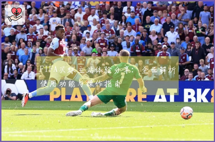 FIFA买球主站体验分享：全面解析使用功能与操作指南