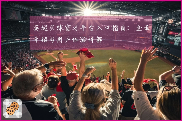 英超买球官方平台入口指南：全面介绍与用户体验详解